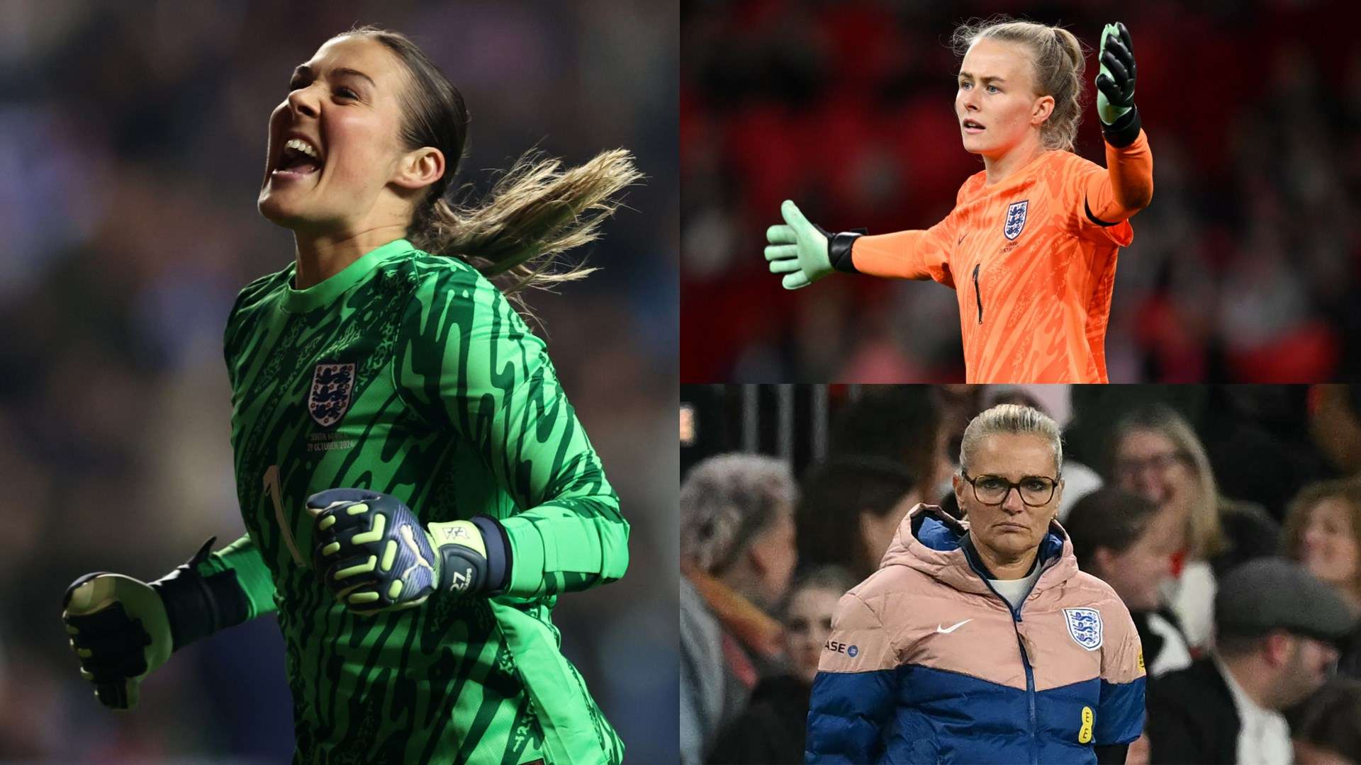 歲的多米尼 歲的多米尼